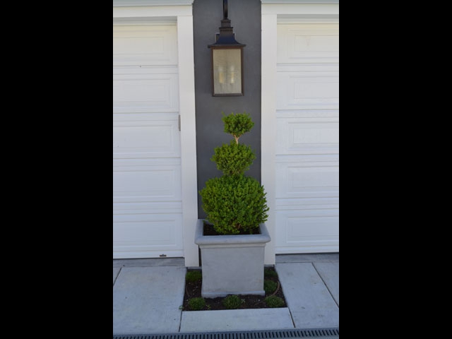 Three Ball Boxwood